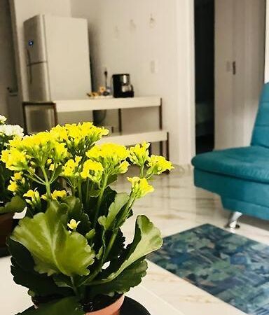 Apartamento No Andar Terreo Foz do Iguacu Exterior photo